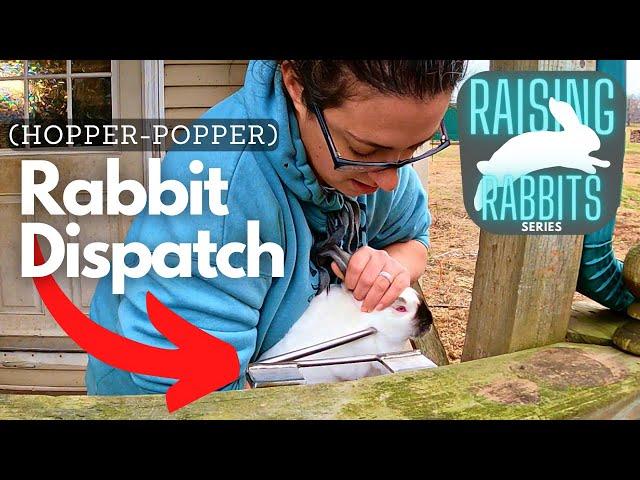 Raising Meat Rabbits: Dispatching a Rabbit Humanely