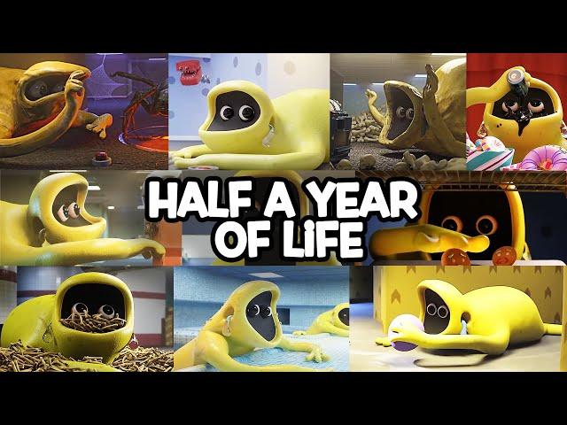 Half a year in the life of Bone Thief - Recall All