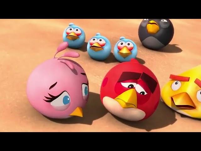 angry birds toons 4D