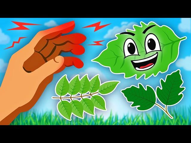 Don't Touch THESE Plants! | Learning Songs For Kids | KLT