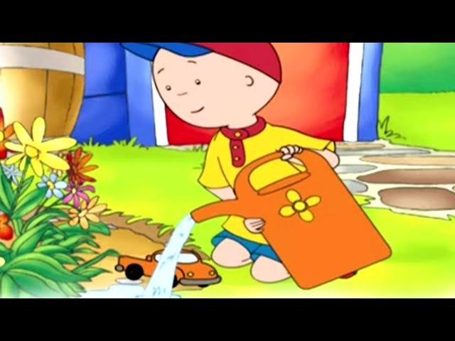 Caillou Türkçe HD | Bahçıvan Caillou | kayu cizgi filmi | Caillou Turkish | Yeni