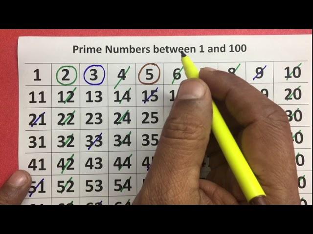 Prime Numbers Between 1 and 100