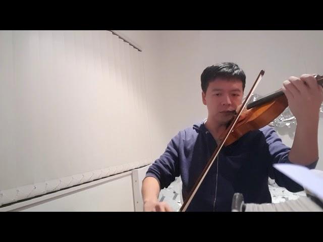 Bach Violin Concerto in D minor practice progress update