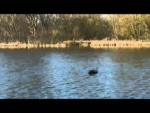 Angling Technics Baitboats Video Microcat Mk III Technicat