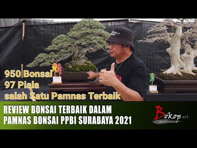 REVIEW BONSAI TERBAIK DALAM PAMNAS BONSAI PPBI SURABAYA 2021