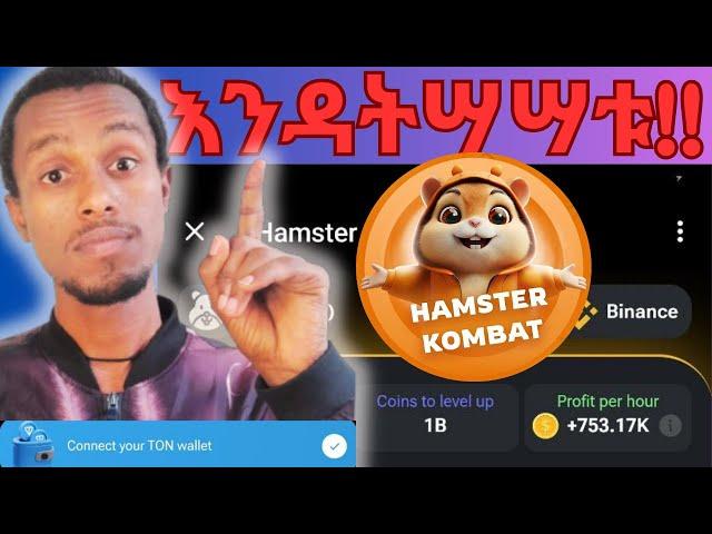 Hamster Kombat ብዙ ገንዘብ የምትሰሩበት strategy | መሸጥ የምንችለው መቼ ነው?