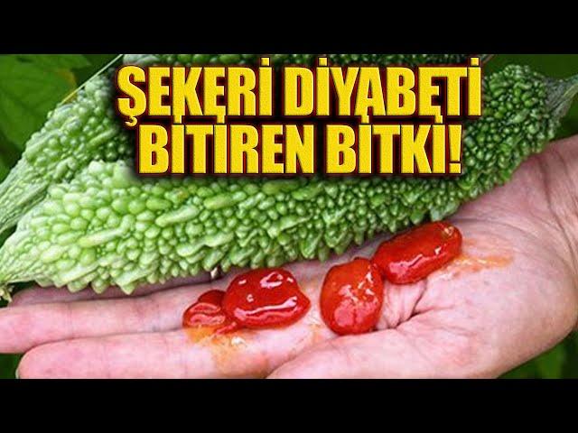 Şekeri Diyabeti Bitiren Bitki