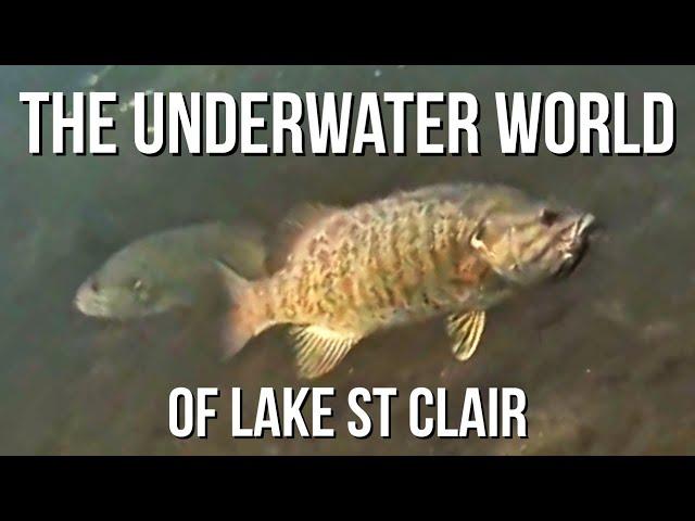 Fishing Lake St Clair With Underwater View Of Bass, Walleye and MORE!