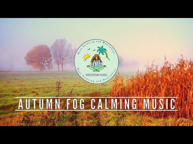 Autumn Fog Calming Music | Fall Ambience, Foliage, Forest