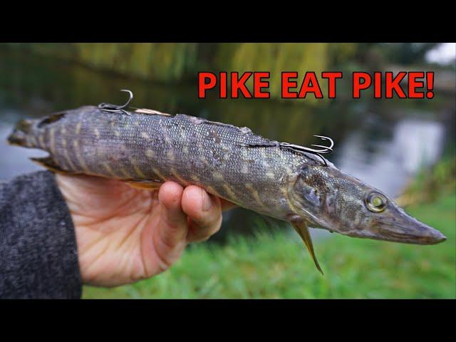 Using a PIKE to Catch a Bigger PIKE!