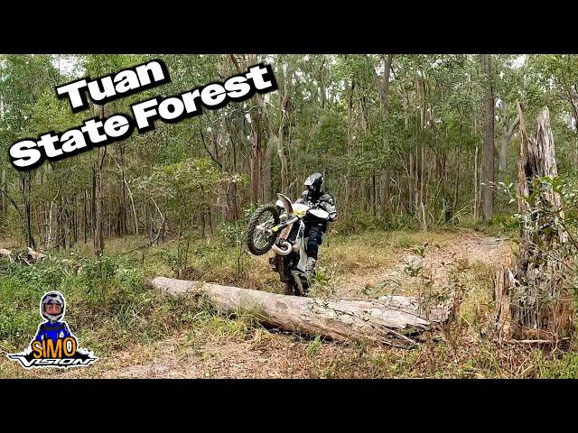 Enduro riding in Tuan State Forest