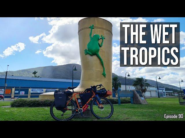 Cycling in the Wet Tropics // Bike Touring Australia Ep. 90