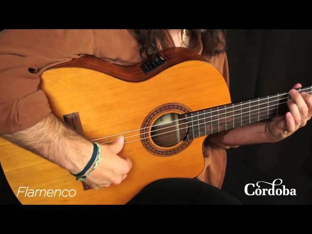 Cordoba Guitars - C5-CE Nylon String Guitar