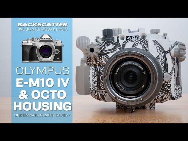 Olympus E-M10 IV and Backscatter Octo Housing | Underwater Camera Review #underwaterphotography