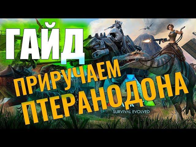 ПРИРУЧАЕМ ПТЕРАНОДОНА #ГАЙД ДЛЯ НОВИЧКОВ! Ark: Survival Evolved #5