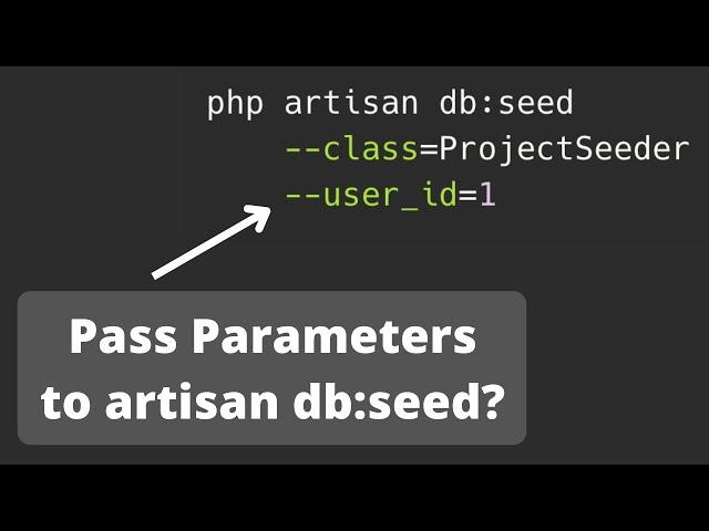 How to Pass Parameters to Artisan db:seed Command?