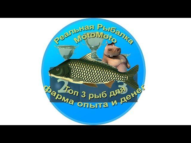 Топ 3 рыб для фарма опыта и денег [АРХИВ] | Реальная Рыбалка.