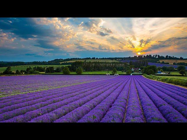 Relaxing music for deep sleep - fall asleep quickly - relaxing music - spa music