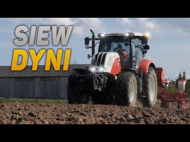  STEYR CVT 6145 + SAKALAK SK-PMDK, czyli SIEW DYNI 2021  Agro Team Terebiń  4K