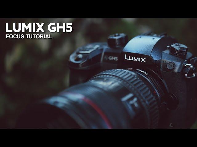 NAIL your Lumix GH5 Focus (GH5 Tutorial)