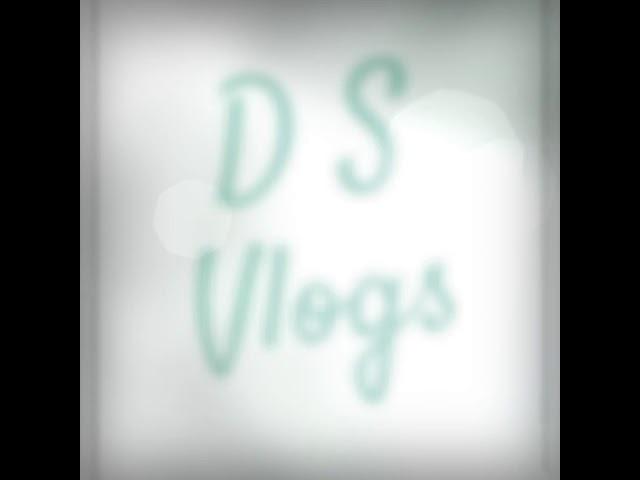 D S Vlogs