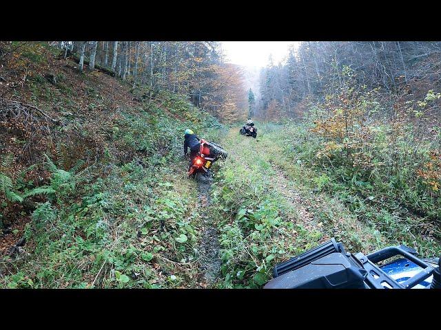 5  Can-Am' s  Yamaha | He rollover with the ATV in the middle of the forest 