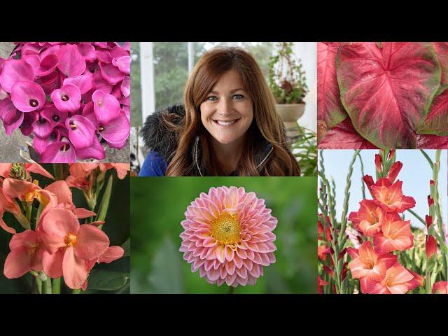 5 Popular Bulbs You Can Plant Now for Gorgeous Summer Color!  // Garden Answer