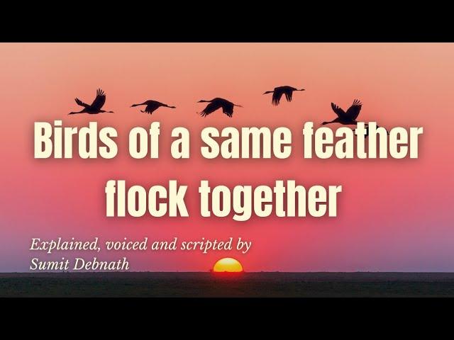 Birds Of A Same Feather Flock Together Proverb Expansion | Life Changing Video 