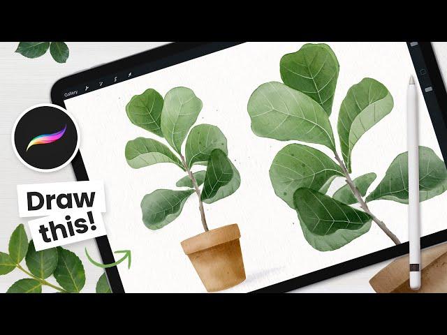 How To Draw: Watercolor Fiddle Leaf Fig Tree • Procreate Tutorial