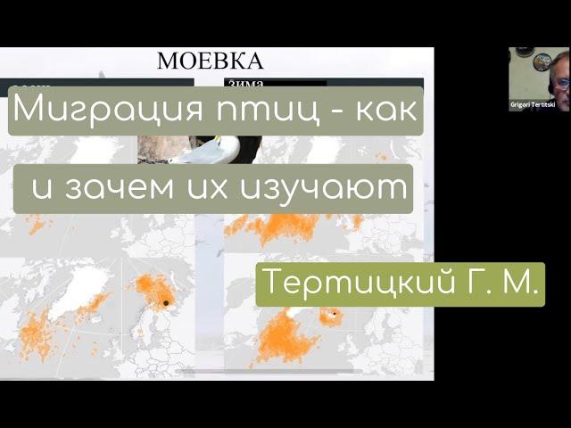 Миграции птиц: как и зачем их изучают. Тертицкий Г.М., к.г.н.