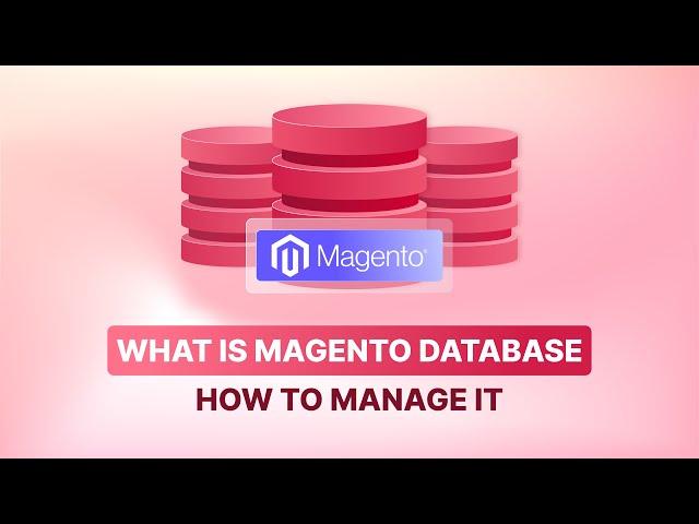 Essential Tips to Manage Your Magento Database