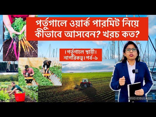 পর্তুগালে ওয়ার্ক পারমিট নিয়ে কীভাবে আসবেন, ভিসা প্রসেস ও খরচ কেমন? Portugal Work Permit VISA