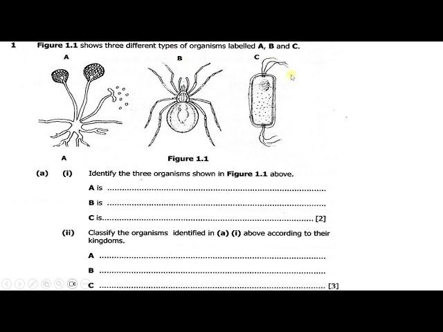 2024 Biology Paper 2 Exam Revision Jam start