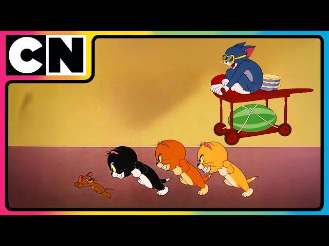 Tom and Jerry | Dual Purr Power! | Compilation | 90s cartoons | Cartoon for kids | @cnindia