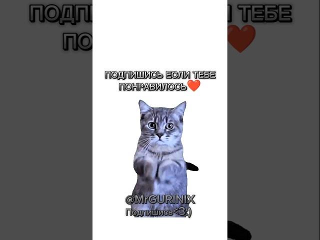 Бабушка VS Мама) #жиза #футажи #cat #котики #shorts #tiktok #youtube #юмор Автор:@Patricia_Diallo