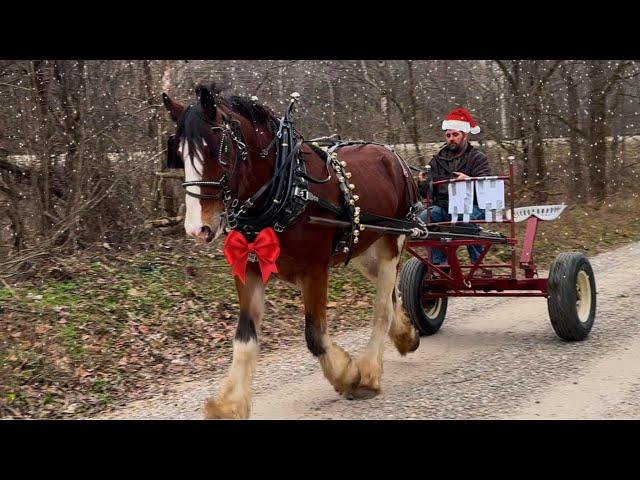 Christmas Caroling CATASTROPHE! - Oliver’s New Jingle Bells!