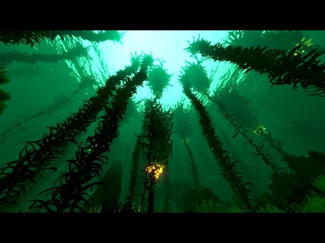 Subnautica - Kelp Forest Day Ambiance (sea creatures, soft music, bubbles, ocean)