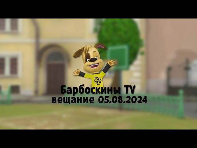 Барбоскины ТВ вещание 05.08.2024