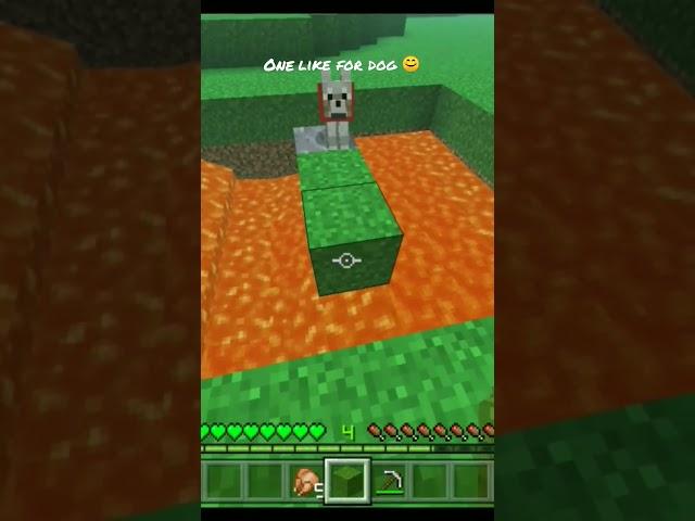 I Saved Dog in Minecraft  | Minecraft TikTok Hacks #shorts