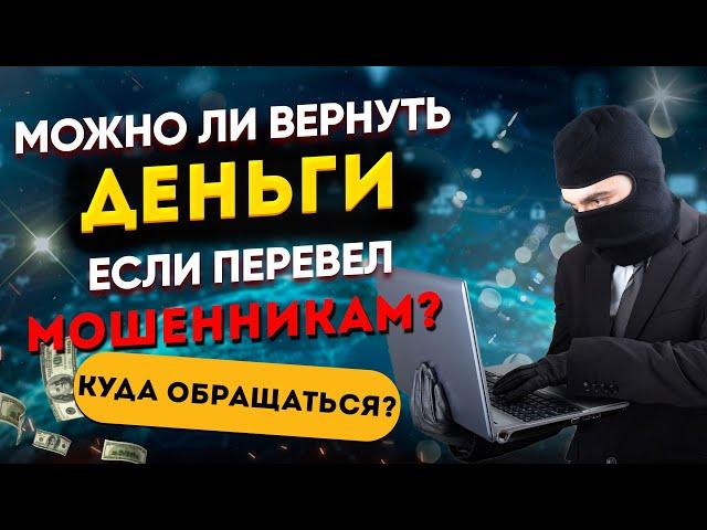 Можно ли вернуть деньги, если перевел мошенникам? Куда обращаться?