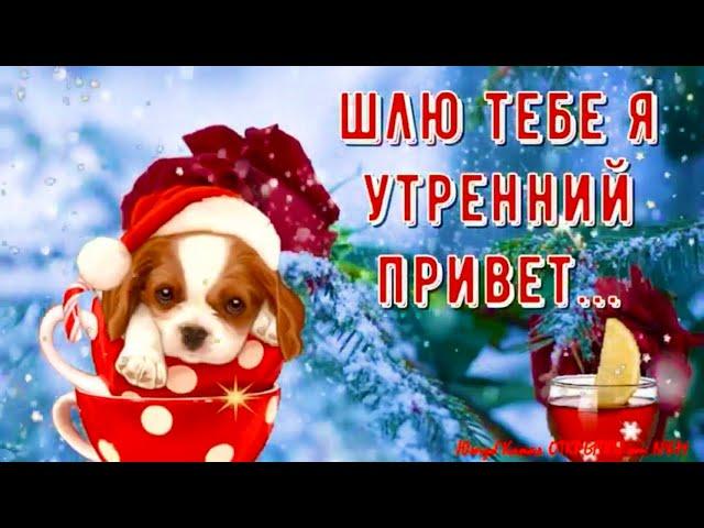 С ДОБРЫМ ЗИМНИМ УТРОМ! С Добрым Утром и Хорошим Днем! Открытки Доброе Утро!