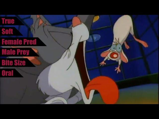 Pinky and the Cat - Animaniacs (S1E10) | Vore in Media