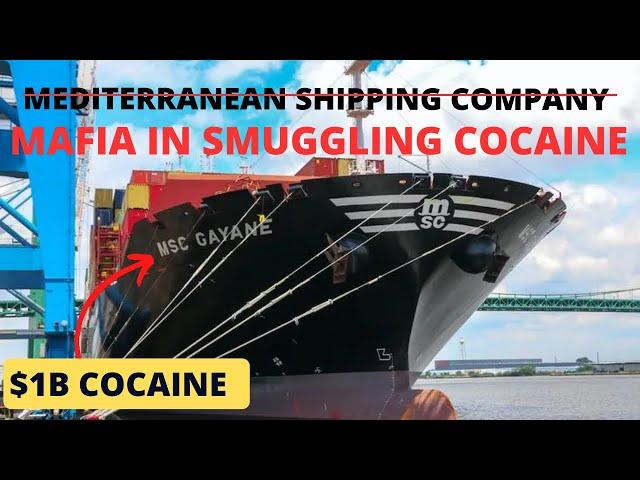 20 tons of cocaine worth $1B smuggled by MSC Gayane || Marinesthing