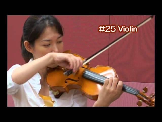 Homemade Violin,  趣味のヴァイオリン作り, 池田正弘