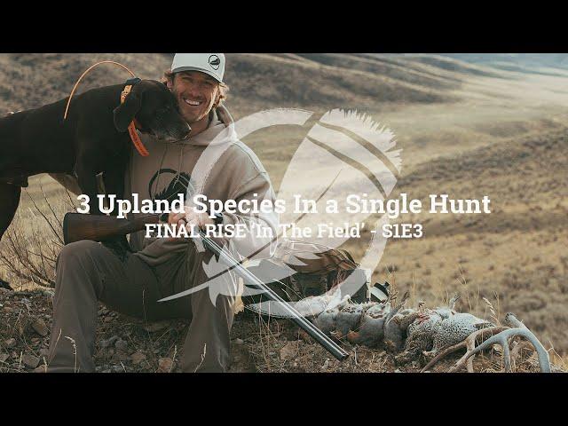 3 Upland Species in a Day | Final Rise 'In The Field' S1E3