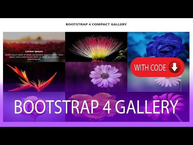 How to create Responsive LightBox Gallery with Bootstrap 4 with code