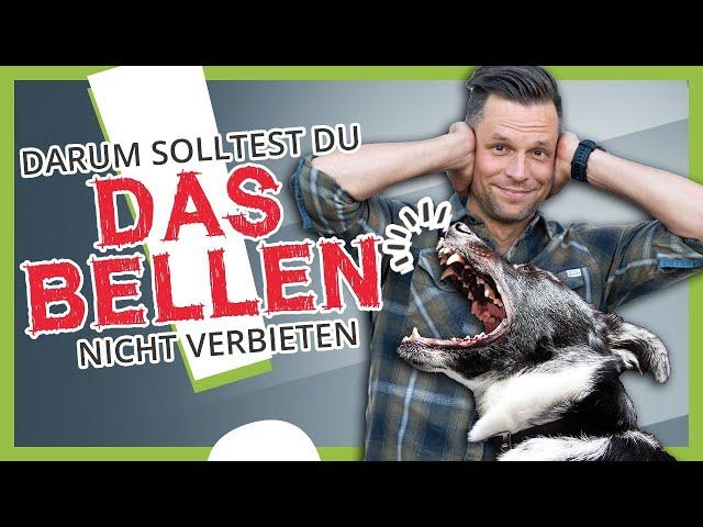 Wie du deinem Hund das BELLEN abgewöhnst [effektiv und einfach]