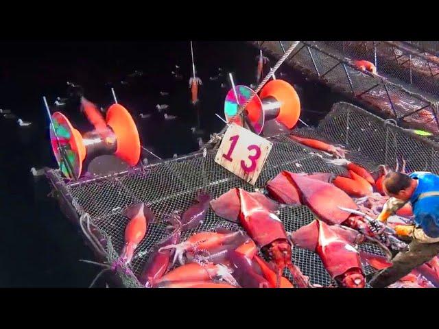 How to Catch Commercial Giant Squid Fishing Automatic in Ocean