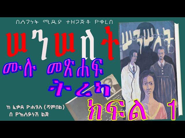 ሙሉ ክፍል/ክፍል 1ሰንሰለት ትረካ  |ETHIOPIAN Audio Book Narration  SENSELET