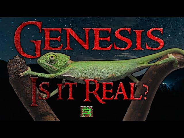 Genesis: Is it Real?